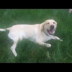 Meet your Posher, Stacy